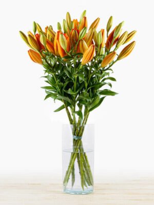 Bouquet de lys Orange
