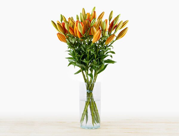 Bouquet de lys Orange